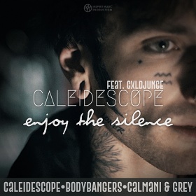 CALEIDESCOPE FEAT. GXLDJUNGE - ENJOY THE SILENCE